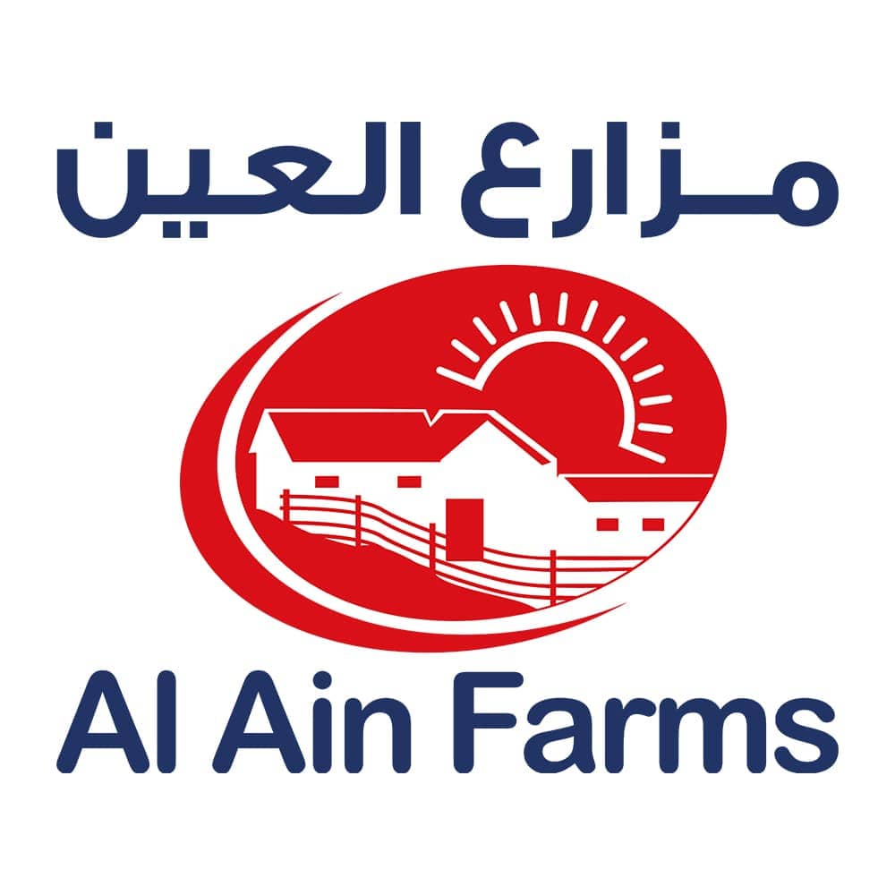Al-ain-motad-digital creative agency